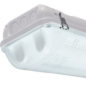 Tl armatuur spatw.+kap ip66   1x58w