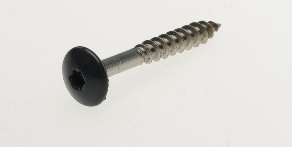 Trespaschr.rvs d.grijs t20   4.8x38