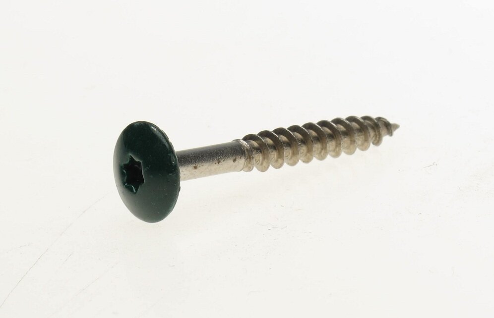 Trespaschr.rvs d.groen t20   4.8x38