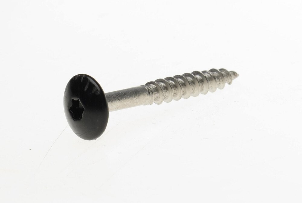 Trespaschroef rvs zwart t20  4.8x38
