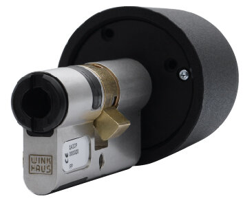 Wh blue chip cilinder knop     30/30