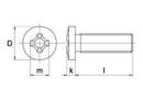 Metaalschr.rvs a2 torx     ck m4x10