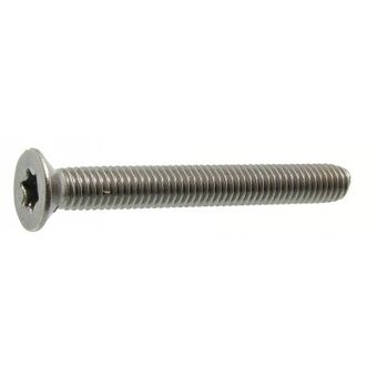 Metaalschr.rvs a2 torx     vk m4x10
