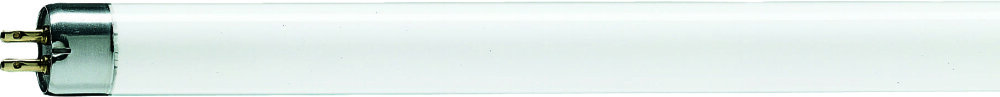 Philips tl buis koelwit       6w/33