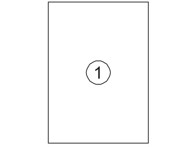 Etiket Quantore 210x297mm 100 stuks