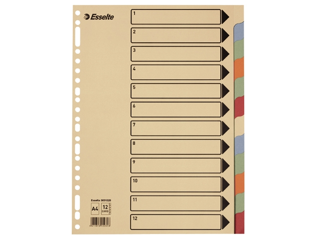 tabbladen ess a4 23r karton 12dlg gekl tabs c
