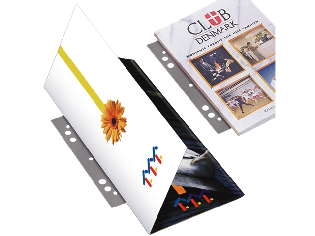 filestrip 3l 8804-100 295mm 2/4rings