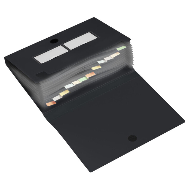 Sorteermap HFP 12 vaks PP met sluiting, zwart