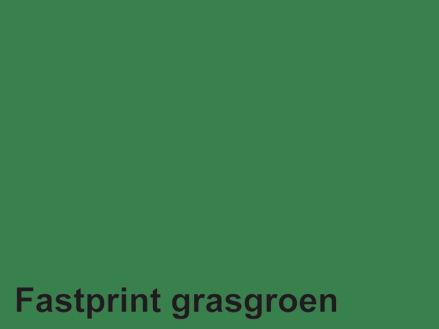 Kopieerpapier Quantore Colour A4 120gr