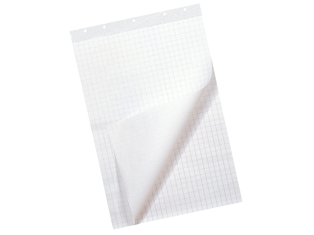 Flipoverpapier 65x100cm blanco/ruit